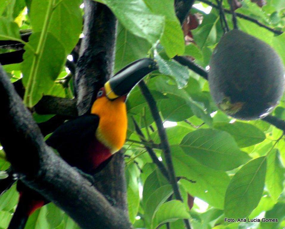 Rio Nature Hostel Rio de Janeiro Esterno foto