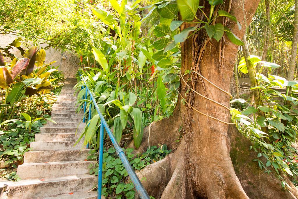Rio Nature Hostel Rio de Janeiro Esterno foto
