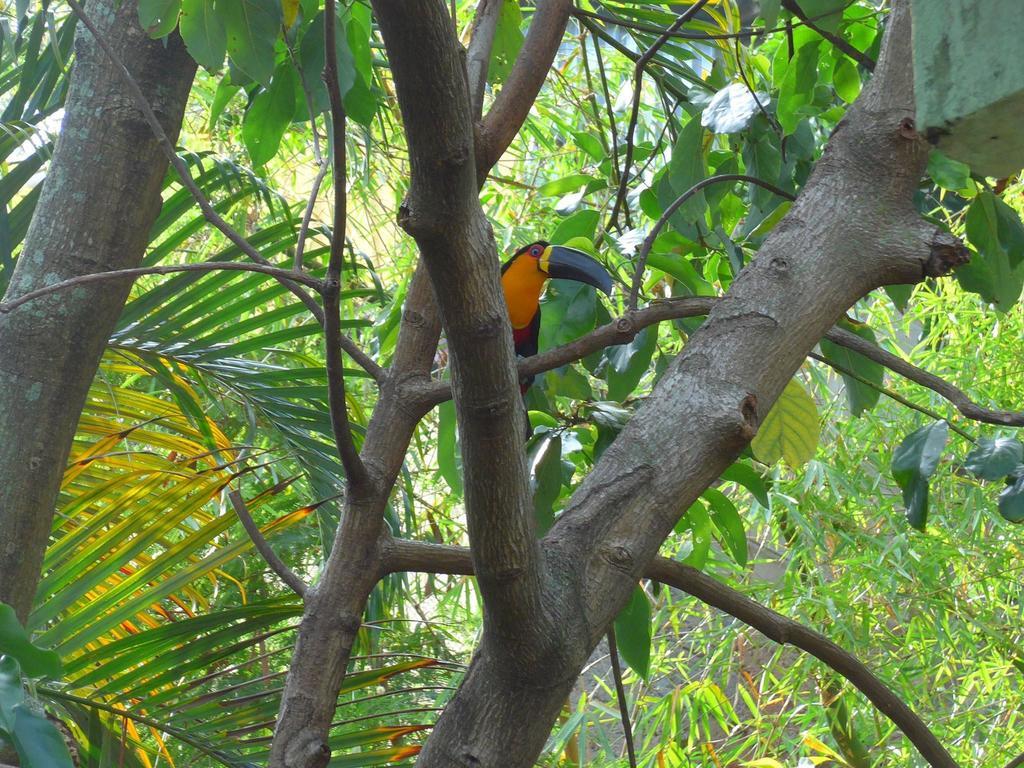 Rio Nature Hostel Rio de Janeiro Camera foto